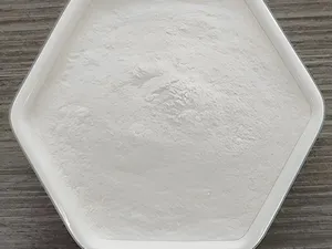 طين التبييض