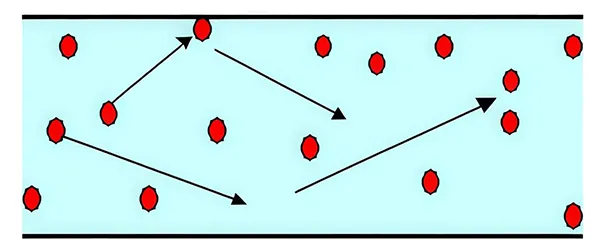 النقل بالطور المخفف 