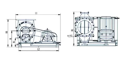 صمام دوار SRV للتفريغ بالهواء المار